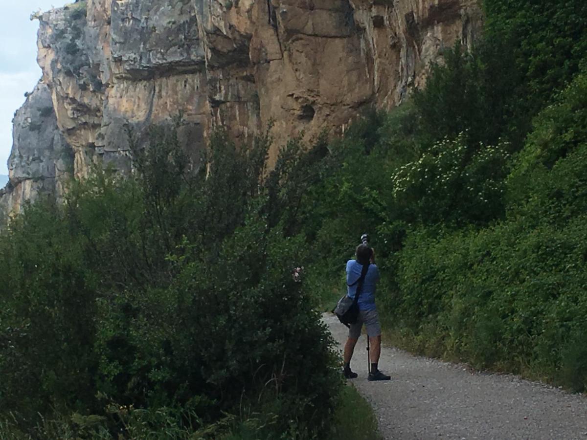 Selbaondoa, Casa Con Patio En El Prepirineo Navarro لومبيير المظهر الخارجي الصورة